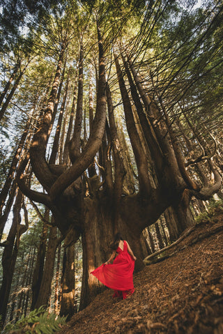 Red Dress Day: Honouring Our Missing, Supporting Our Sisters